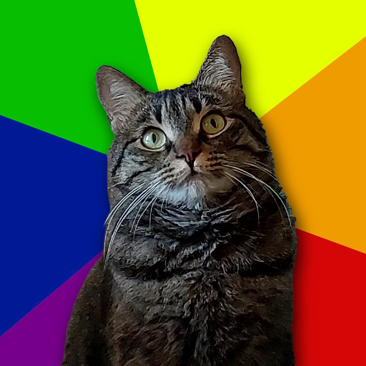 Mert Akça's personal photo